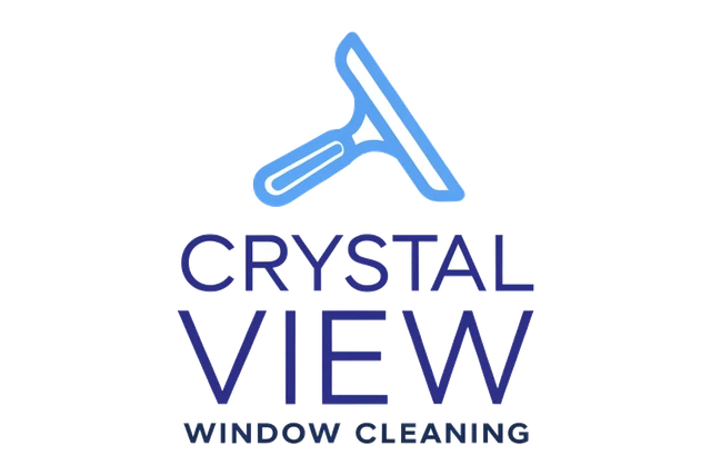 Squeegee Window Cleaning Logo design