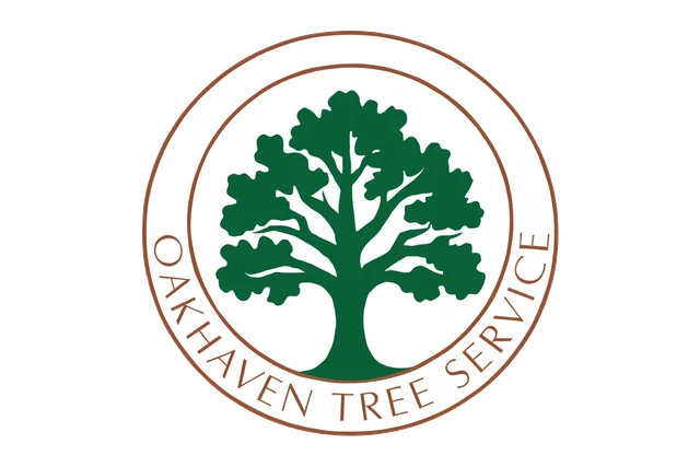 Oak Tree Ring Emblem Logo design