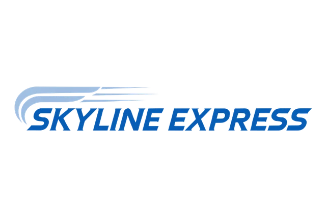 Winged Speed Italic Logo design